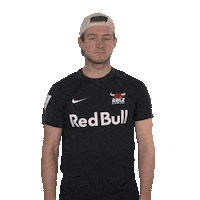 Posing Line Up Sticker by Bundesliga