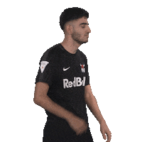 Posing Line Up Sticker by Bundesliga