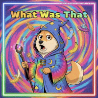 Wait What Omg GIF by Doge Pound
