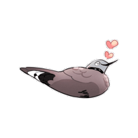 Spotted Dove Love Sticker