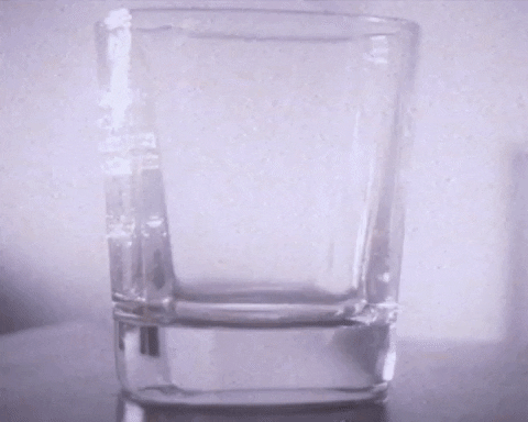 Drink Cheers GIF