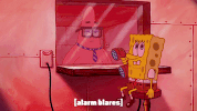 season 9 episode 13 GIF by SpongeBob SquarePants