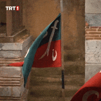 Flag Sword GIF by TRT