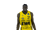 Ewe Baskets Basketball Sticker by EWE Baskets Oldenburg