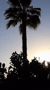 Take Me Out Summer GIF by iamnotshane