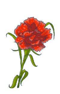 TROOPLAB halloween dead familia raven Sticker