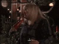 season 4 netflix GIF by Gilmore Girls 