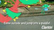 Allergies Allergy GIF by Claritin