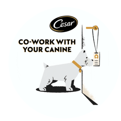 Hiremydog Sticker by Cesar Canine Cuisine