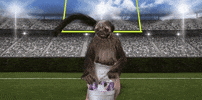super bowl 2016 GIF by Mountain Dew
