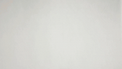 Nascar Racing Sport GIF by NASCAR