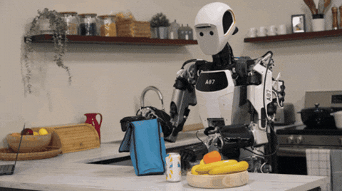 6d302342507d4e798b45024cf5d8c800 giphyupload GIF