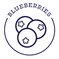 Blueberry Sticker by Moe's Healthy Pets