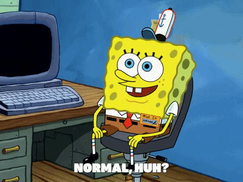 season 6 GIF by SpongeBob SquarePants