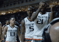 miamihurricanes sports college ncaa miami GIF