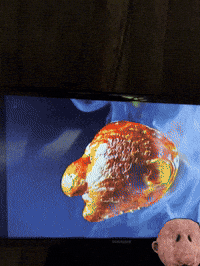 Behind The Scenes Studio GIF by Alex Boya
