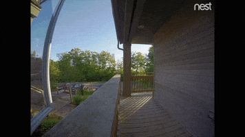sneaking in oh hello GIF by Nest