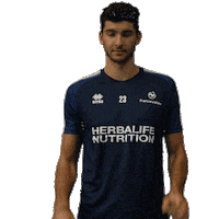 volleyball volley Sticker by EuroVolley2019Fr