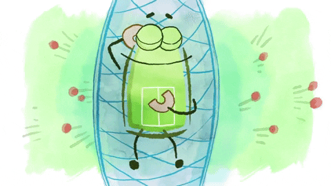 Camping Ask The Storybots GIF by StoryBots