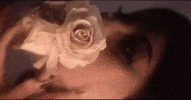 Music Video GIF by DeathbyRomy