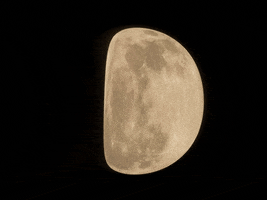 Germany Wow GIF by FranchiseONE.de