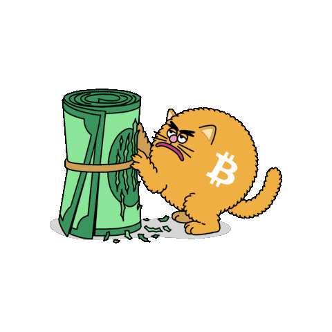 Cat Crypto Sticker by herecomesbitcoin
