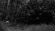 TeChoca juancano GIF