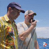 Is He Okay Impractical Jokers GIF by Shark Week