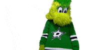 Waving Dallas Stars GIF by NHL