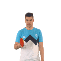 Tennis Table Sticker by Team Slovenia