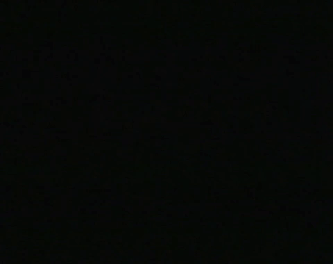 We're doing vegetables today