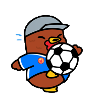 Football Soccer Sticker by COQINU