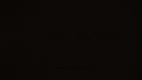 Maimon GIF by Luxury Home Rentals by TMG