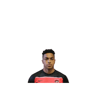 Soccer Usl2 Sticker by Des Moines Menace