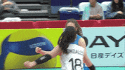 Happy Joy GIF by Volleyball World
