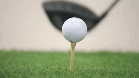 majorworld giphygifmaker GIF