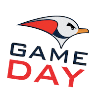 Gameday Sticker by Senago Baseball