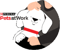 Purina_ar dog purina petsatwork purinaargentina Sticker