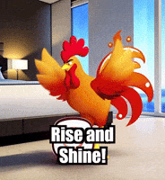 Rise And Shine Morning GIF by Zorooster