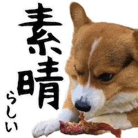 Corgi Wow Sticker
