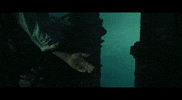 hd turns GIF