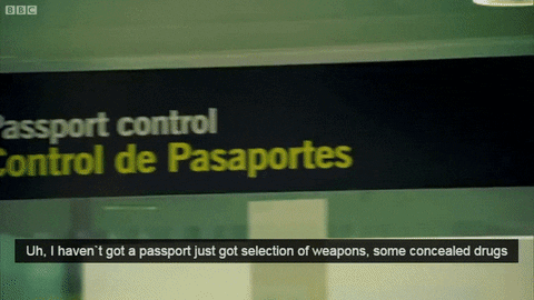 airport customs GIF