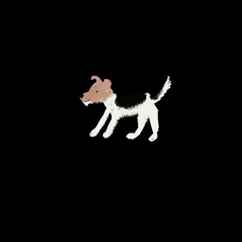 breadcrumbsclub giphygifmaker puppy wire fox terrier fox terrier GIF