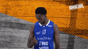 Sport Basketball GIF by Basket_fi