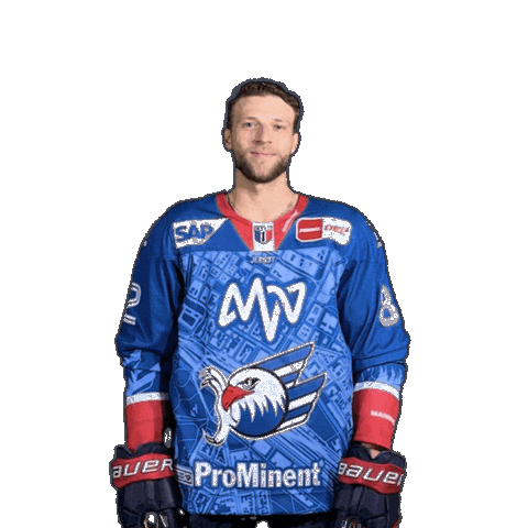 Hayden Shaw Sticker by Adler Mannheim
