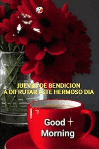 Dia Flores GIF by Murcianys LLC