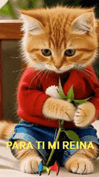 Para Ti Corazon GIF by Murcianys LLC