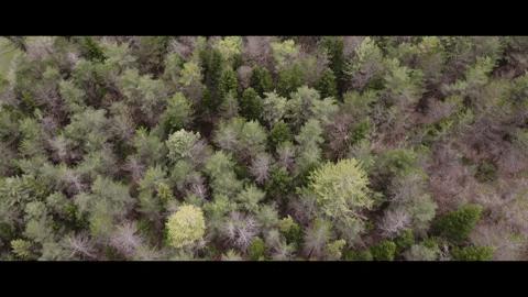 trexstudio giphyupload GIF