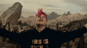 Dave Meyers GIF by P!NK