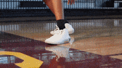 Pearl River Basketball GIF by Pearl River Athletics
